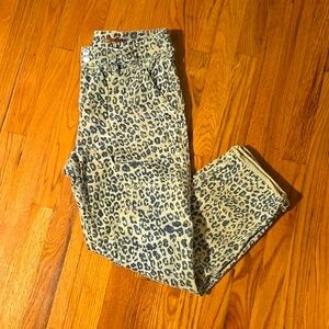 Pilcro ' The Wanderer' Utility Pant